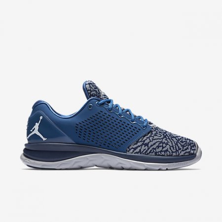 JORDAN TRAINER ST SHOES Blue