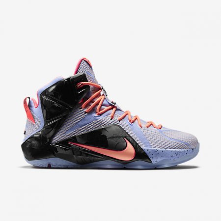 LeBron 12 Shoes