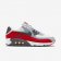 Nike Air Max 90 Essential Wolf Grey/Challenge Red/Summit White/Dark Grey