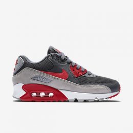 NIKE AIR MAX 90 ESSENTIAL Dark Grey/Wolf Grey/Summit White/University
