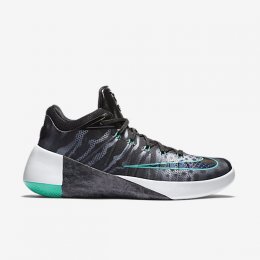 NIKE HYPERDUNK 2015 LOW LIMITED