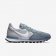 Nike Internationalist Dove Grey/Pure Platinum/Black/White