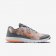 NIKE FLEX EXPERIENCE RN 4 PREMIUM Cool Grey/Pure Platinum/White/Sunset Glow