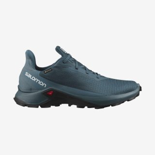 The Salomon ALPHACROSS 3 GORE-TEX Trail Running Shoes are quite comfortable, lightweight, and are a Ideal fit. If you are looking for a pair of shoes to run around in and lots of walking, these will not disappoint.