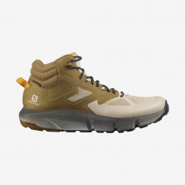 Salomon PREDICT HIKE MID GORE-TEX