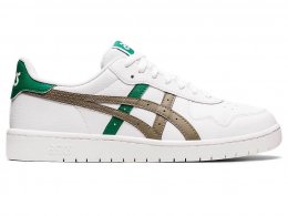 Asics JAPAN Skate Shoes