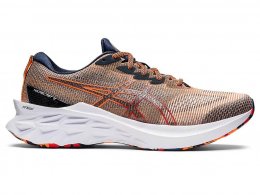 Asics NOVABLAST 2 LE Mens Running Shoes