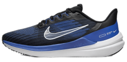 Nike Air Winflo 9 Shoes
