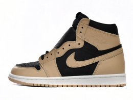 Air Jordan 1 Shoes