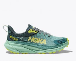 HOKA Challenger, 7. GTX Shoes