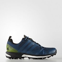 adidas Terrex Agravic GTX Shoes