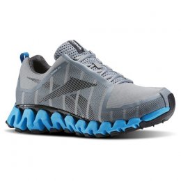 Reebok Running Shoes Zigwild TR 2
