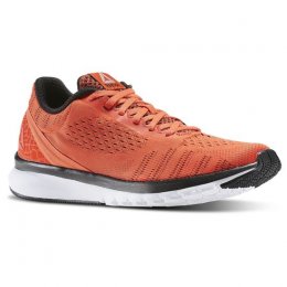 Reebok Running Print Smooth Shoes