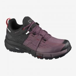 Salomon ODYSSEY GTX W