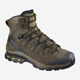 Salomon QUEST 4D 3 GTX