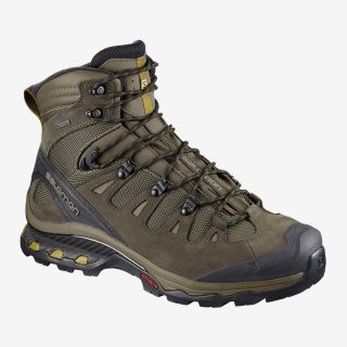 Salomon QUEST 4D 3 GTX GORE-TEX Shoes: Salomon\'s 4D Advanced Chassis guides the foot, even on the roughest terrain, reducing fatigue during long days on the trail.
