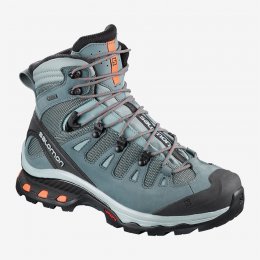 Salomon QUEST 4D 3 GTX W