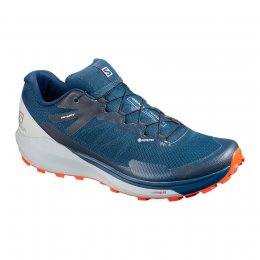 Salomon SENSE RIDE 3 GTX INVIS. FIT
