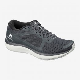 Salomon VECTUR Training Shoes