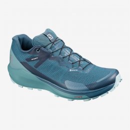 Salomon SENSE RIDE 3 GTX INVIS. FIT W