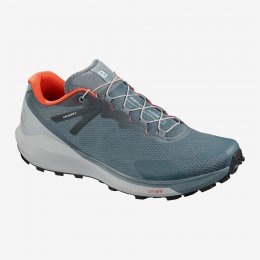 Salomon SENSE RIDE 3 Shoes