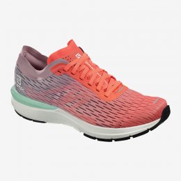 Salomon SONIC 3 ACCELERATE W Training Shoes