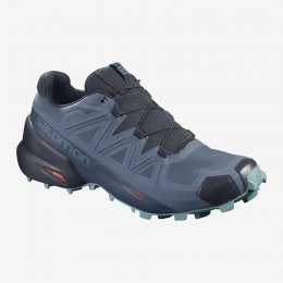 Salomon SPEEDCROSS 5 GTX W