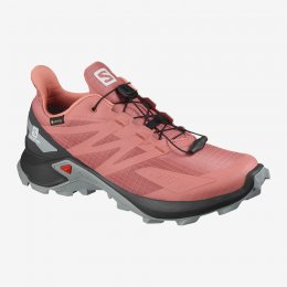 Salomon SUPERCROSS BLAST GTX W