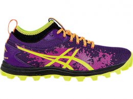 Asics GEL-FujiRunnegade Shoes