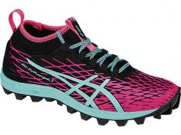 Asics GEL-FujiRunnegade 2