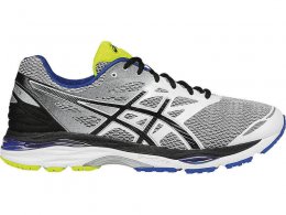 Asics GT-1000 5 Store Run Shoes