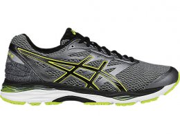 Asics GT-1000 5 Run Shoes Men