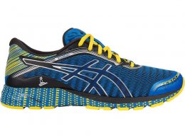 Asics DynaFlyte Stockholm Running Shoes