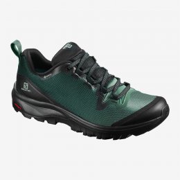 Salomon VAYA GTX Hiking Shoes