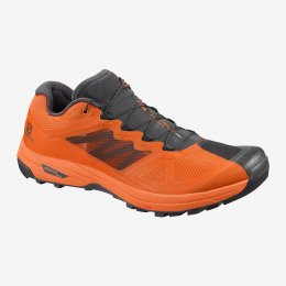 Salomon X ALPINE /PRO Shoes
