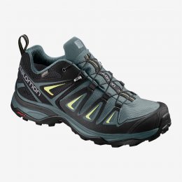 Salomon X ULTRA 3 GTX W