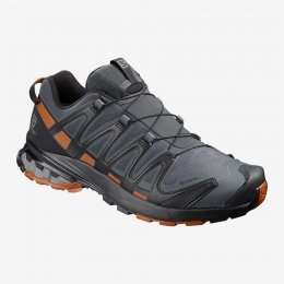 Salomon XA PRO 3D V8 GTX