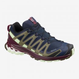Salomon XA PRO 3D V8 GTX W