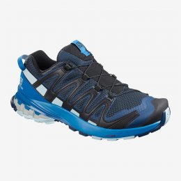 Salomon XA PRO 3D V8