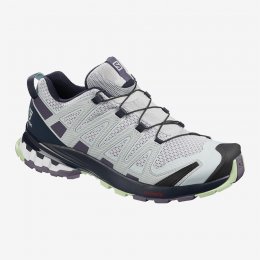 Salomon XA PRO 3D V8 W