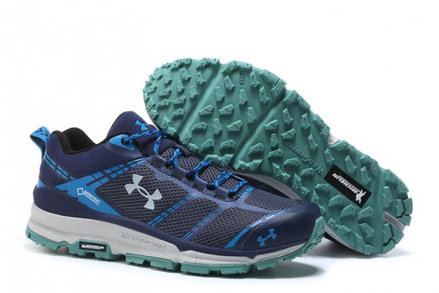Men\'s UNDER ARMOUR VERGE LOW GTX Navy/Grey
